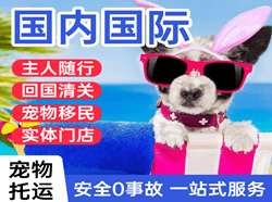 乌兰浩特机场邮寄国际宠物托运 【国